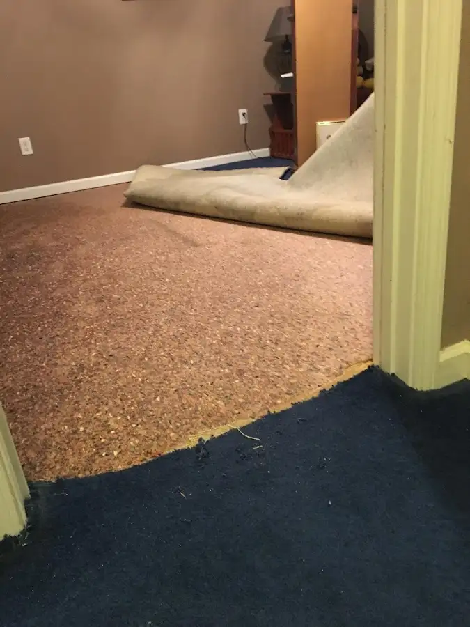 Carpet pad removal revealing water damage during Drying & Dehumidification in Cahokia Heights