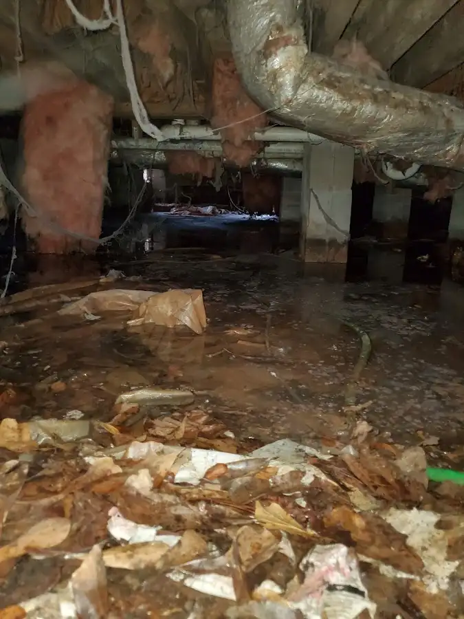 Crawl space flood assessment for Leak Detection & Repair in Cahokia Heights